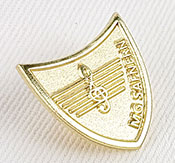 Sandgestrahlter Pin
