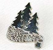 Sandgestrahlter Pin